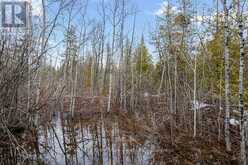 LOT 43 WARNER BAY ROAD | Tobermory Ontario | Slide Image Sixteen