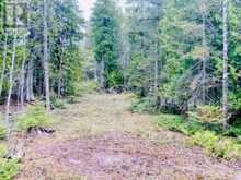 LOT 43 WARNER BAY ROAD | Tobermory Ontario | Slide Image Four