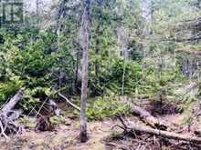 LOT 43 WARNER BAY ROAD | Tobermory Ontario | Slide Image Six