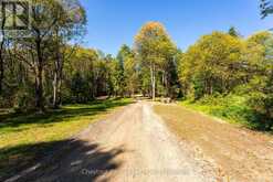 00 DEER LAKE ROAD | Emsdale Ontario | Slide Image Thirteen