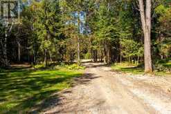 00 DEER LAKE ROAD | Emsdale Ontario | Slide Image Fourteen