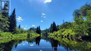 00 DEER LAKE ROAD | Emsdale Ontario | Slide Image One