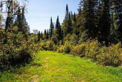 00 DEER LAKE ROAD | Emsdale Ontario | Slide Image Thirty-one
