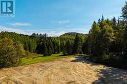 00 DEER LAKE ROAD | Emsdale Ontario | Slide Image Three
