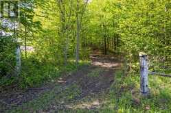 268 FOX RIDGE ROAD | Clarksburg Ontario | Slide Image Thirty-two