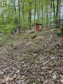 TBD BUSHWOLF LAKE ROAD | Haliburton Ontario | Slide Image Ten
