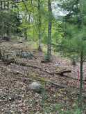 TBD BUSHWOLF LAKE ROAD | Haliburton Ontario | Slide Image Twelve