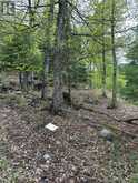 TBD BUSHWOLF LAKE ROAD | Haliburton Ontario | Slide Image Thirteen
