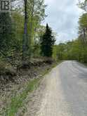 TBD BUSHWOLF LAKE ROAD | Haliburton Ontario | Slide Image Fourteen