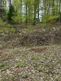 TBD BUSHWOLF LAKE ROAD | Haliburton Ontario | Slide Image Two
