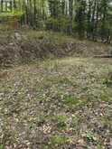 TBD BUSHWOLF LAKE ROAD | Haliburton Ontario | Slide Image Three