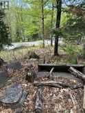 TBD BUSHWOLF LAKE ROAD | Haliburton Ontario | Slide Image Six