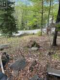 TBD BUSHWOLF LAKE ROAD | Haliburton Ontario | Slide Image Seven