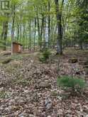 TBD BUSHWOLF LAKE ROAD | Haliburton Ontario | Slide Image Eight