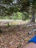 TBD BUSHWOLF LAKE ROAD | Haliburton Ontario | Slide Image Nine