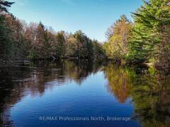 1063 FORRESTER TRAIL N Bracebridge Ontario, P1L 1W9