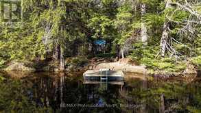 1063 FORRESTER TRAIL N | Bracebridge Ontario | Slide Image Two