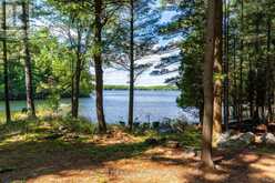 5 IS BEACON ISLAND | Port Carling Ontario | Slide Image Twenty-five