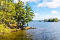 5 IS BEACON ISLAND | Port Carling Ontario | Slide Image Three