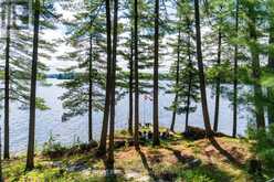 5 IS BEACON ISLAND | Port Carling Ontario | Slide Image Twenty-eight