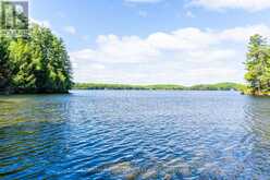5 IS BEACON ISLAND | Port Carling Ontario | Slide Image Four