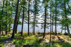 5 IS BEACON ISLAND | Port Carling Ontario | Slide Image Thirty-six