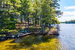 5 IS BEACON ISLAND | Port Carling Ontario | Slide Image Thirty-seven