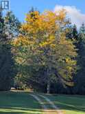 569025 6 SIDE ROAD | The Blue Mountains Ontario | Slide Image Twenty-three