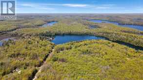 1244 CLEMENT LAKE ROAD | Highlands East Ontario | Slide Image Thirty-eight