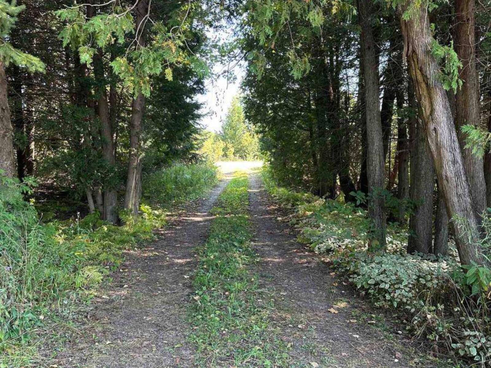 133272 ALLAN PARK ROAD, Hanover, Ontario N4N 3B8