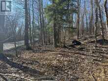 CON 1 PT LOT 12 BARLOCHAN ROAD | Gravenhurst Ontario | Slide Image Nineteen