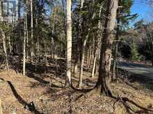 CON 1 PT LOT 12 BARLOCHAN ROAD | Gravenhurst Ontario | Slide Image Twenty
