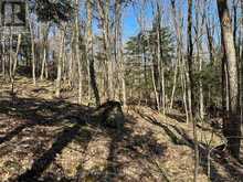 CON 1 PT LOT 12 BARLOCHAN ROAD | Gravenhurst Ontario | Slide Image Twenty-one