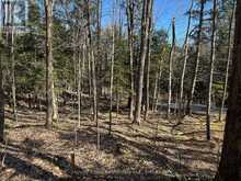 CON 1 PT LOT 12 BARLOCHAN ROAD | Gravenhurst Ontario | Slide Image Twenty-two