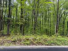 CON 1 PT LOT 12 BARLOCHAN ROAD | Gravenhurst Ontario | Slide Image Thirty-two