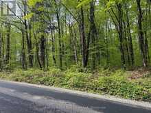 CON 1 PT LOT 12 BARLOCHAN ROAD | Gravenhurst Ontario | Slide Image Thirty-three