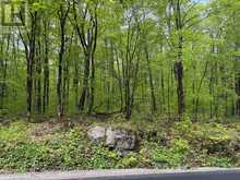 CON 1 PT LOT 12 BARLOCHAN ROAD | Gravenhurst Ontario | Slide Image Thirty-five