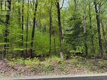CON 1 PT LOT 12 BARLOCHAN ROAD | Gravenhurst Ontario | Slide Image Thirty-seven