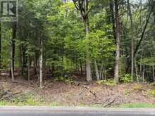 CON 1 PT LOT 12 BARLOCHAN ROAD | Gravenhurst Ontario | Slide Image Thirty-eight