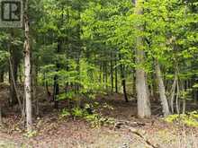 CON 1 PT LOT 12 BARLOCHAN ROAD | Gravenhurst Ontario | Slide Image Thirty-nine