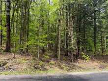 CON 1 PT LOT 12 BARLOCHAN ROAD | Gravenhurst Ontario | Slide Image Three