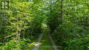 959 HARRISON TRAIL | MacTier Ontario | Slide Image Nine