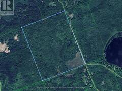 386 LOCKE'S ROAD Emsdale Ontario, P0A 1R0