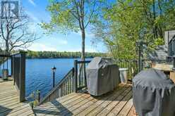 362 HEALEY LAKE WATER | Carling Ontario | Slide Image Thirty-eight