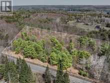 PART 1 BUCKSLIDE ROAD | Haliburton Ontario | Slide Image One