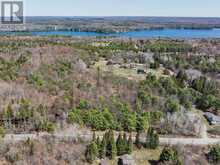 PART 1 BUCKSLIDE ROAD | Haliburton Ontario | Slide Image Eight