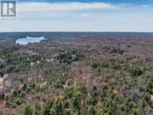 PART 1 BUCKSLIDE ROAD | Haliburton Ontario | Slide Image Nine