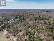 PART 1 BUCKSLIDE ROAD | Haliburton Ontario | Slide Image Twelve