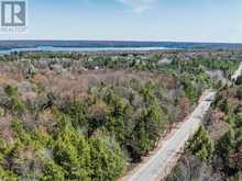 PART 1 BUCKSLIDE ROAD | Haliburton Ontario | Slide Image Five