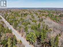 PART 2 BUCKSLIDE ROAD | Haliburton Ontario | Slide Image Ten